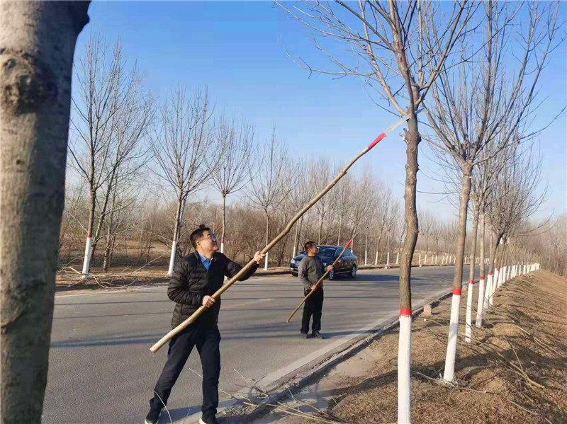 潮起河畔