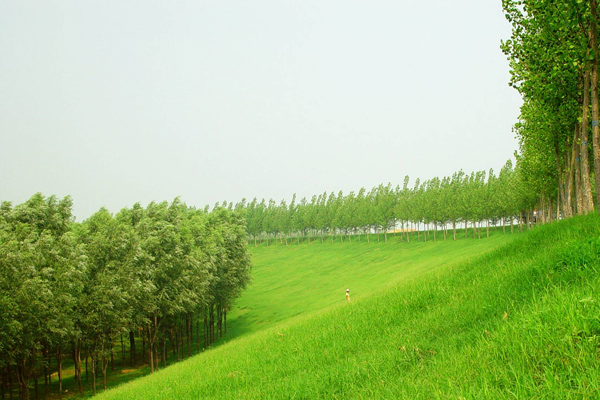 菏泽黄河水利风景区图片展示