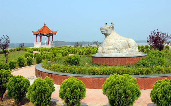 菏泽黄河水利风景区图片展示